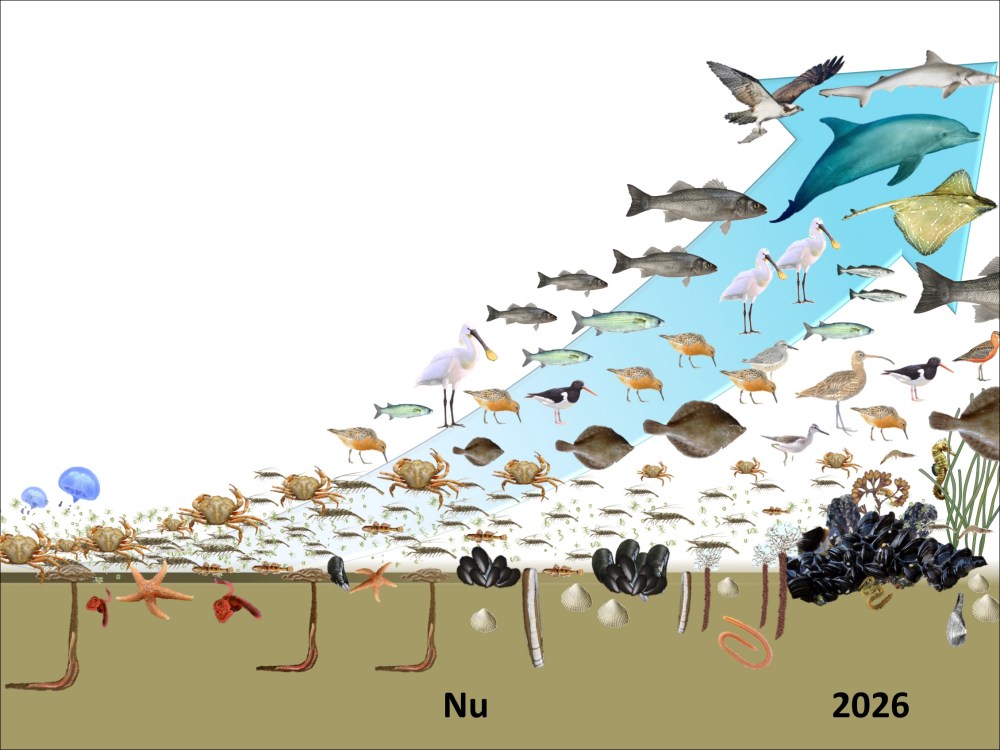 voedselweb 2026 copyright images_no logo