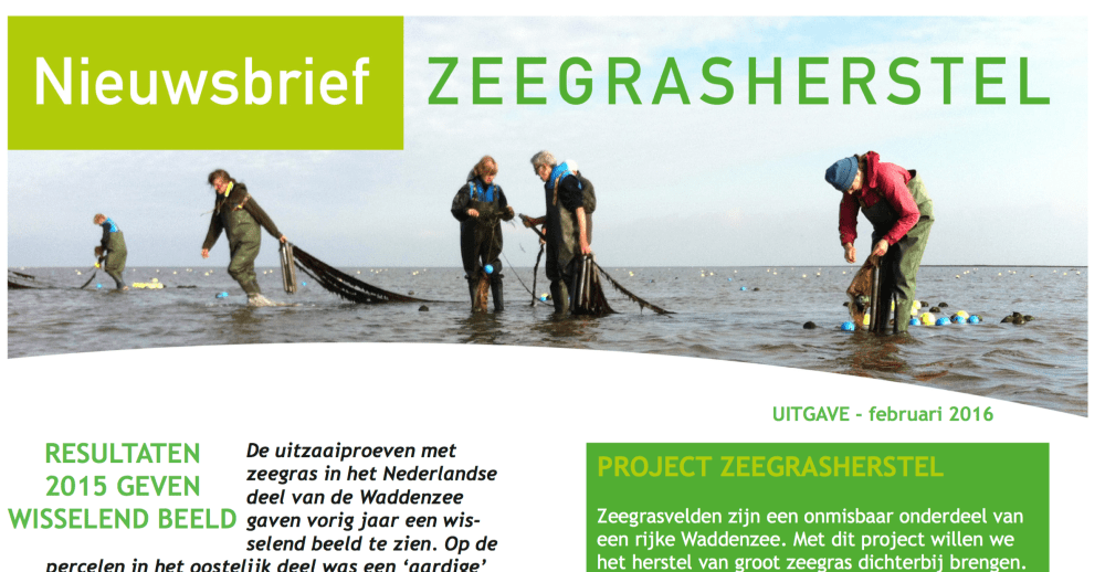 Screen Shot 2016-02-20 at 09.12.53