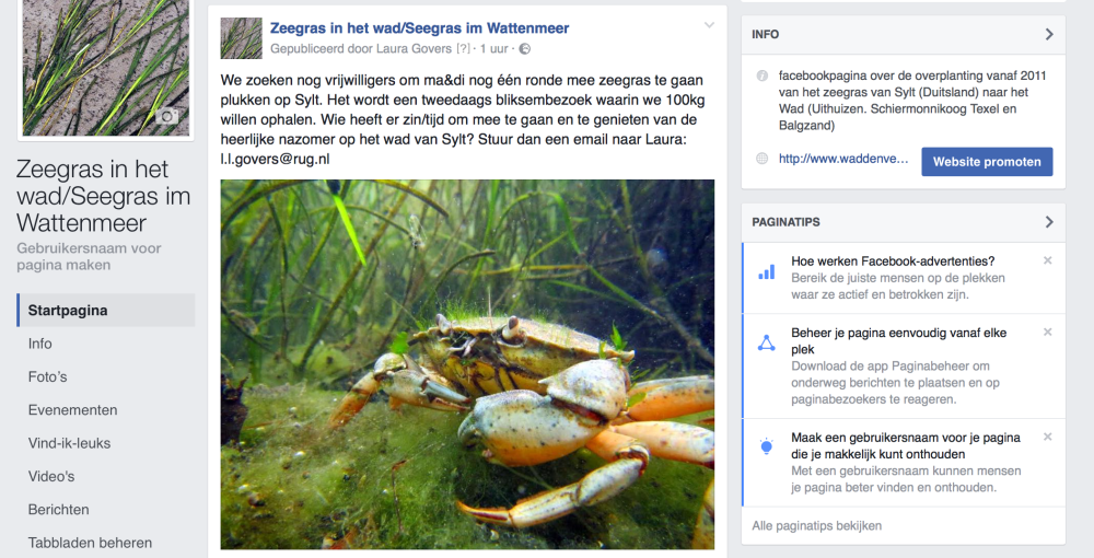 screen-shot-2016-09-09-at-09-40-34
