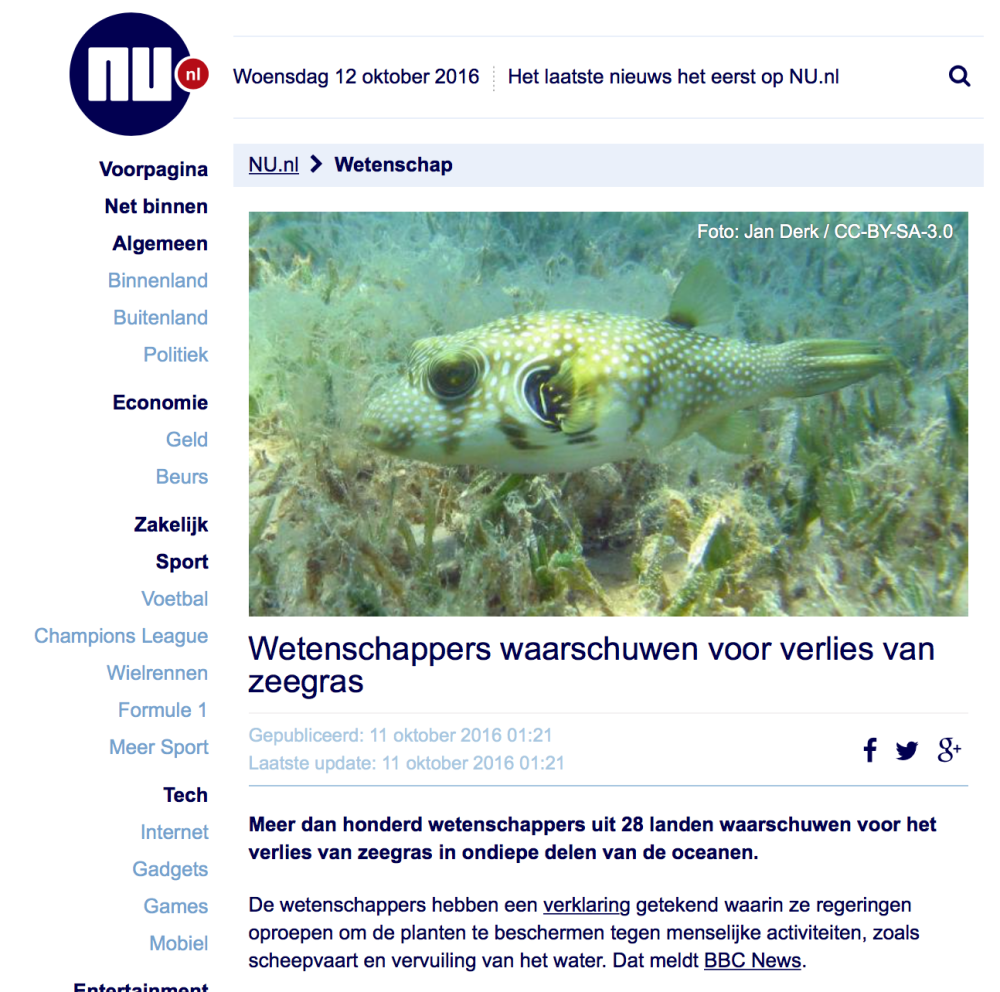 screen-shot-2016-10-12-at-10-31-13