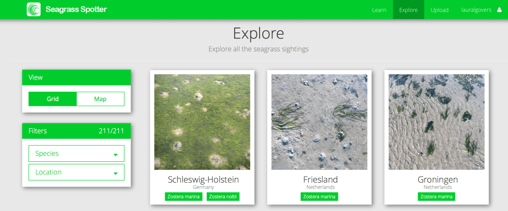 screen-shot-2016-11-09-at-18-10-41