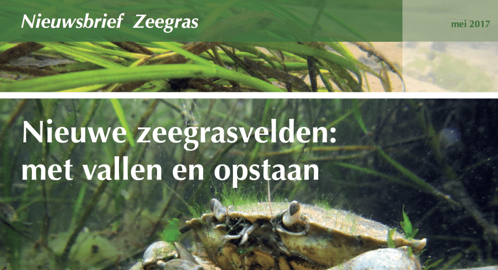 Screen Shot 2017-05-24 at 14.52.32