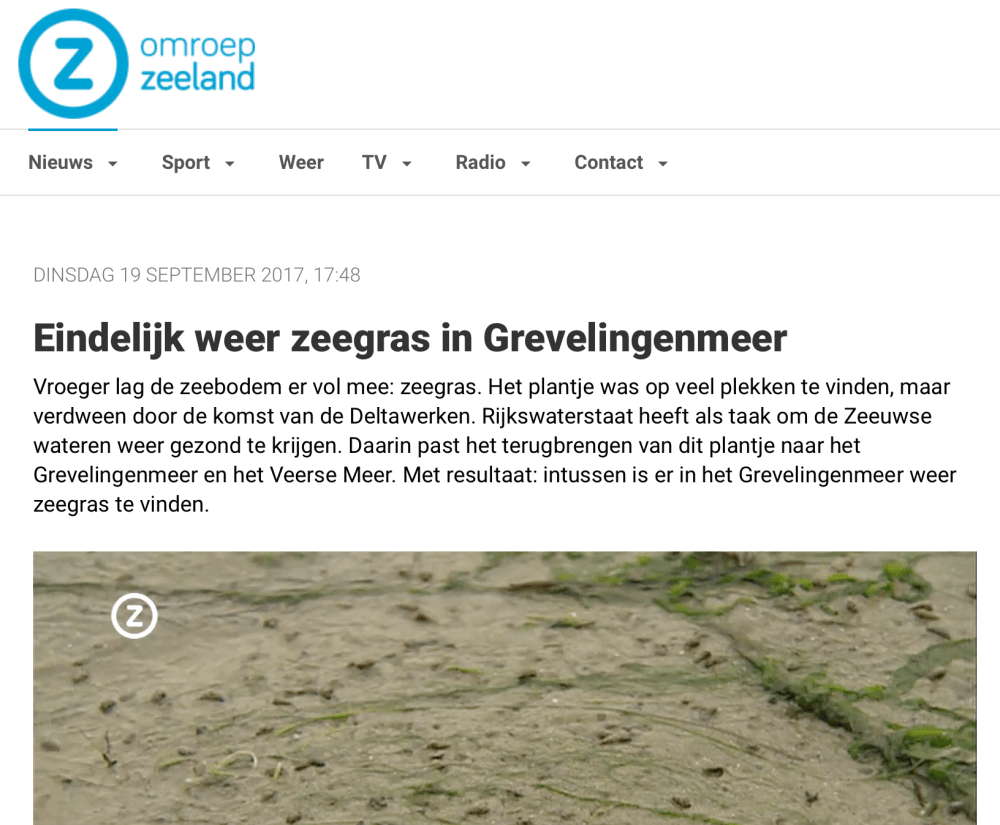 Screen Shot 2017-09-21 at 11.44.04