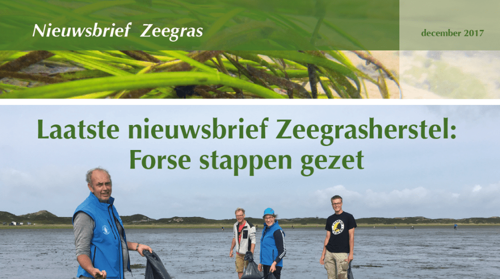 Screen Shot 2017-12-11 at 19.03.50