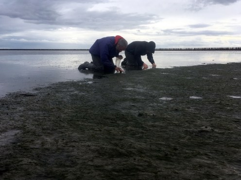 Photo 15-09-2018, 15 43 33.jpg