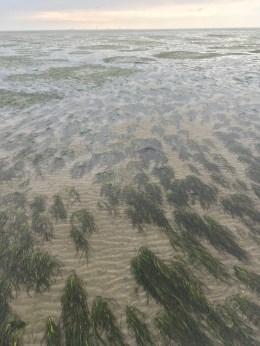 Photo 18-08-2018, 15 02 43 (1)