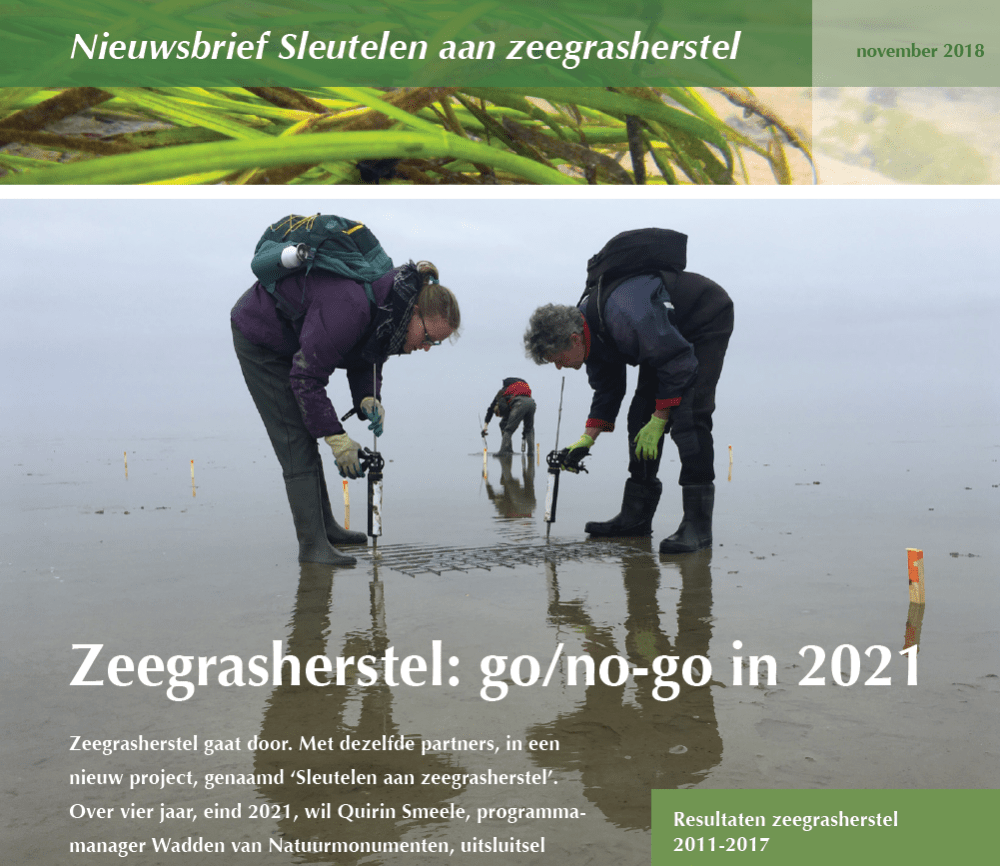 Screen Shot 2018-11-20 at 09.49.56